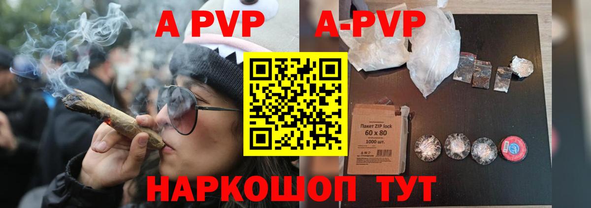 Альфа ПВП СК КРИС Великий Новгород