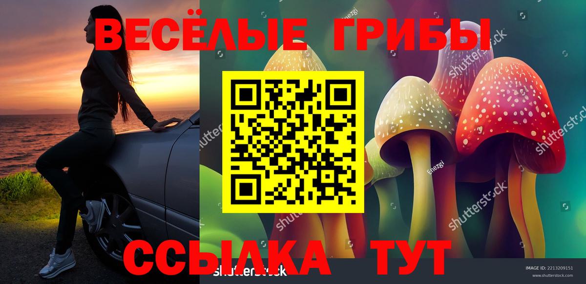 Галлюциногенные грибы прущие грибы  Псилоцибиновые грибы мухоморы  Великий Новгород  Вход с VPN 