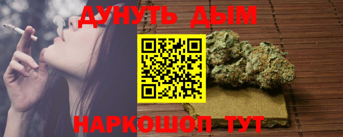 Каннабис OG Kush Великий Новгород